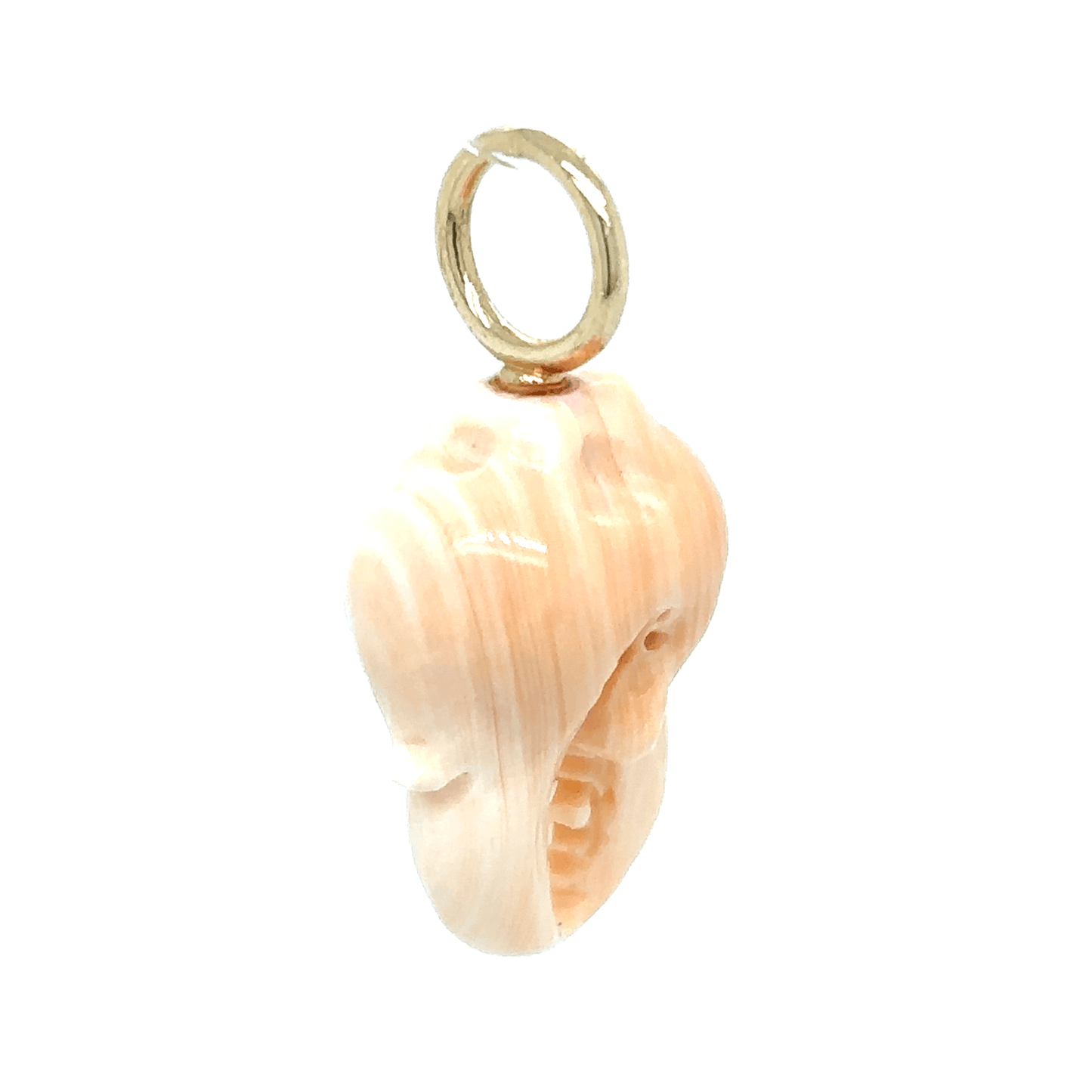 Maura Green Carved Conch Shell Crab Claw Charm 14KY